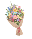 shape-image